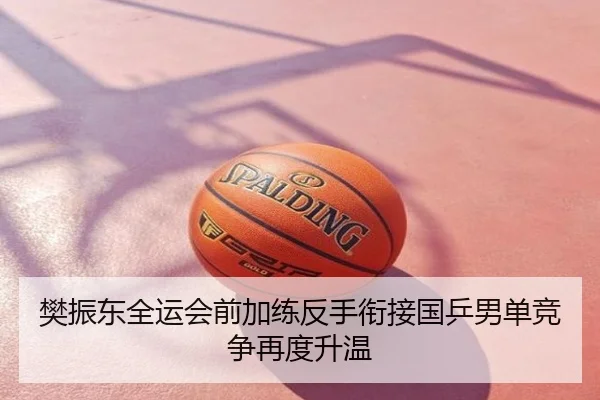 樊振东全运会前加练反手衔接国乒男单竞争再度升温